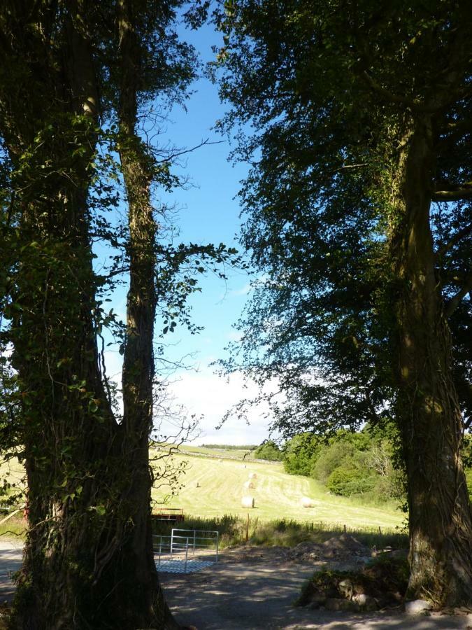 Apartament The Roundhouse Newton Stewart Zewnętrze zdjęcie